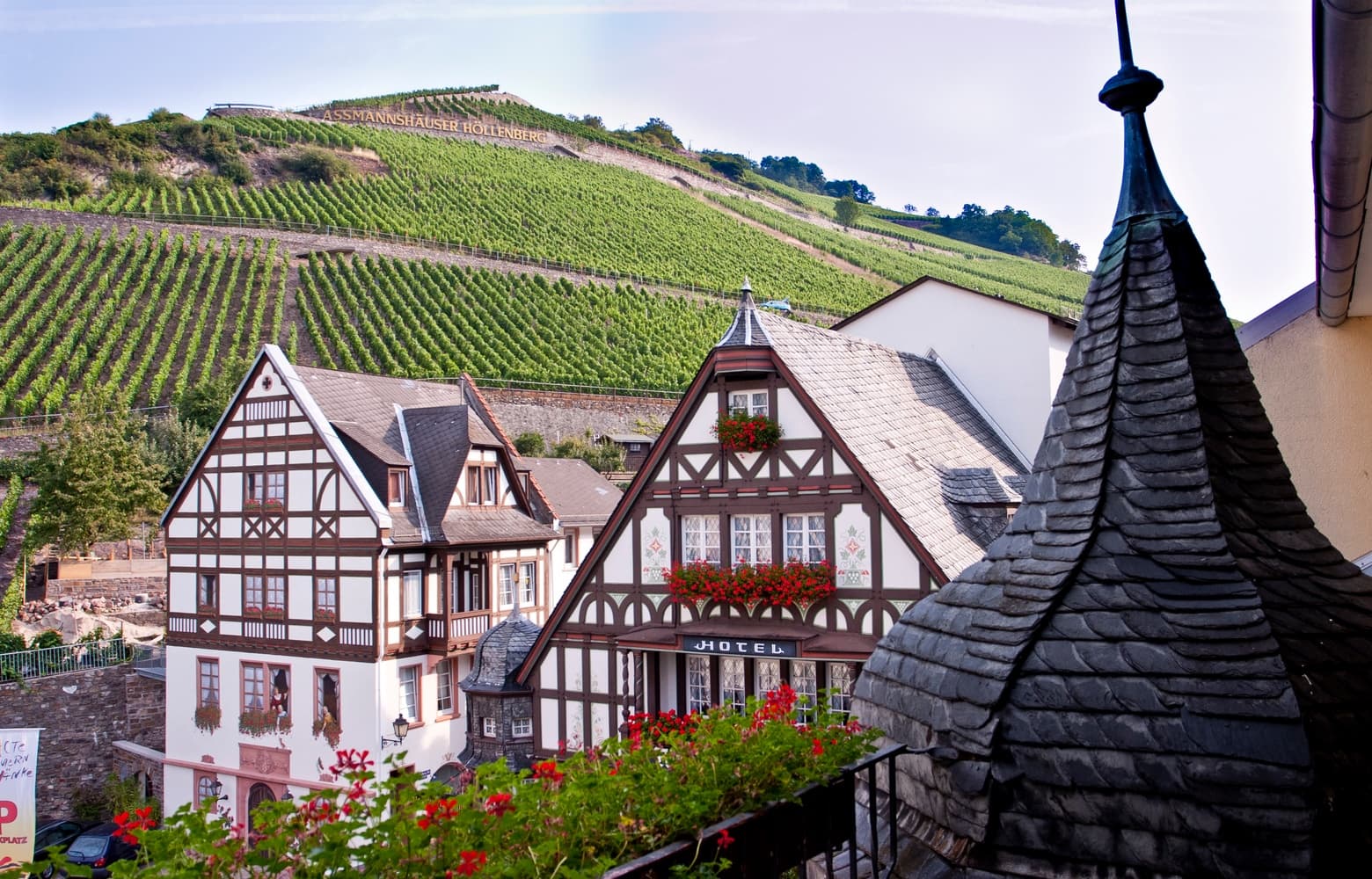 Historic 4-star hotel with vineyard at the Rhine