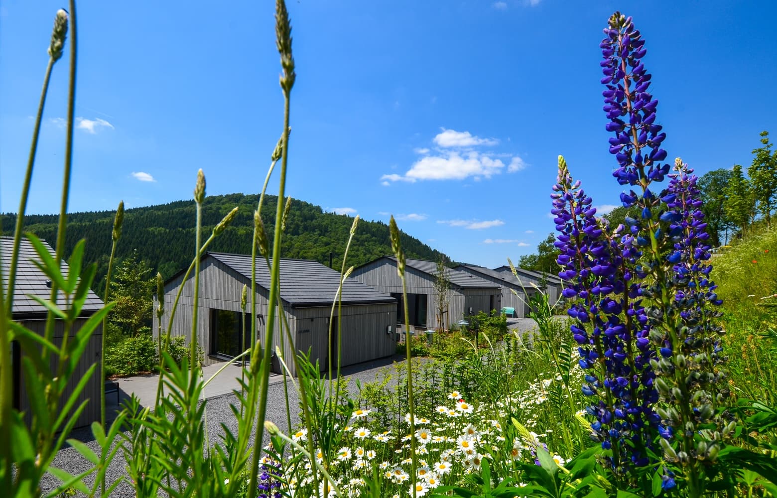 Moderne Design-Lodges im hügeligen Sauerland