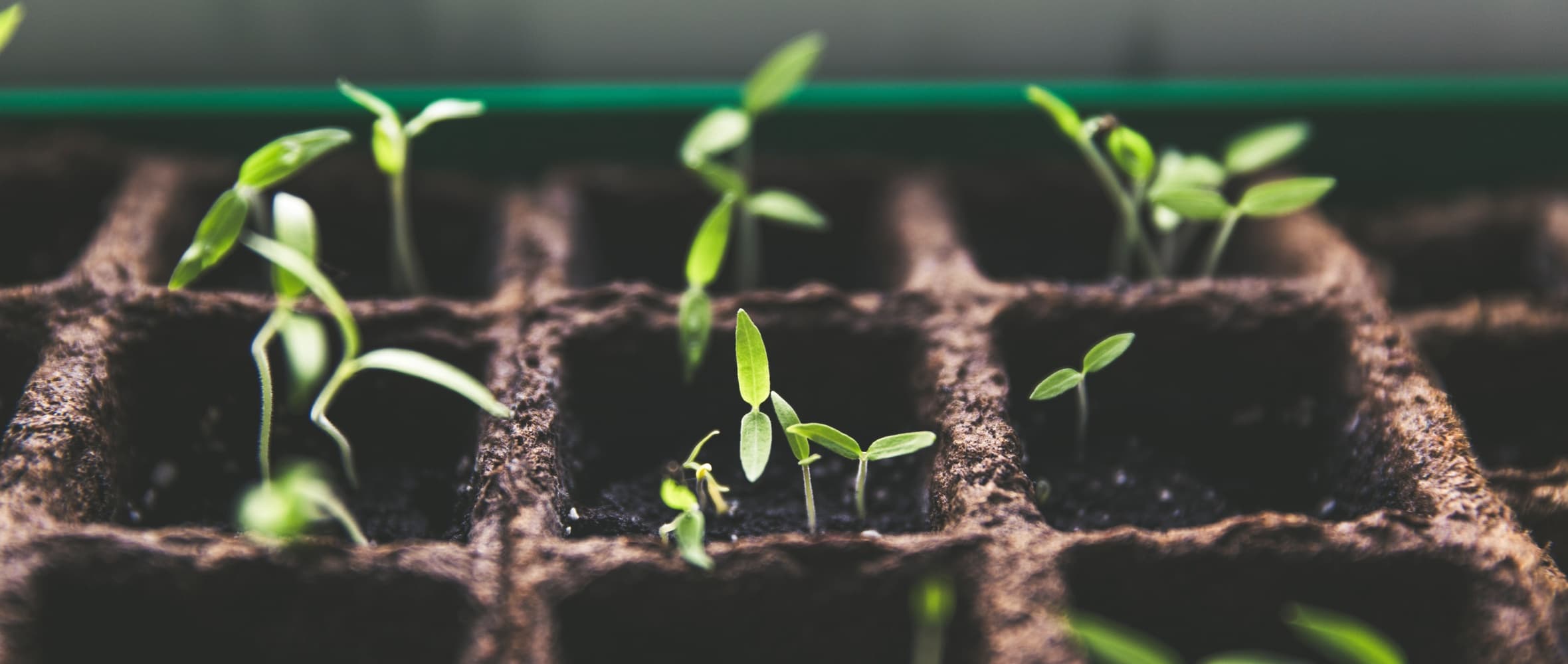 Measuring ROI of Corporate Retreats: Unveiling the Hidden Value feature image