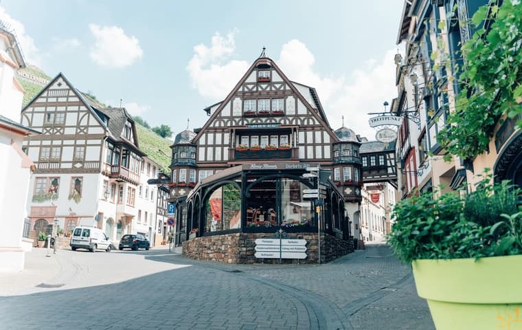 Historic 4-star hotel with vineyard at the Rhine