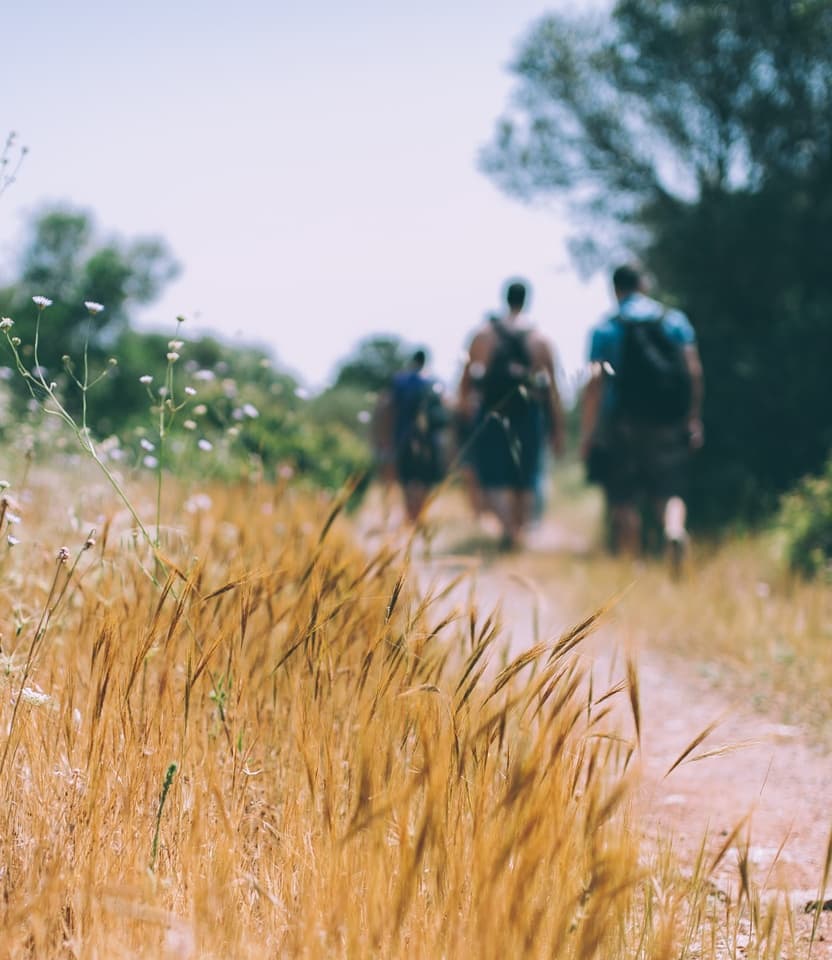 Guided hike