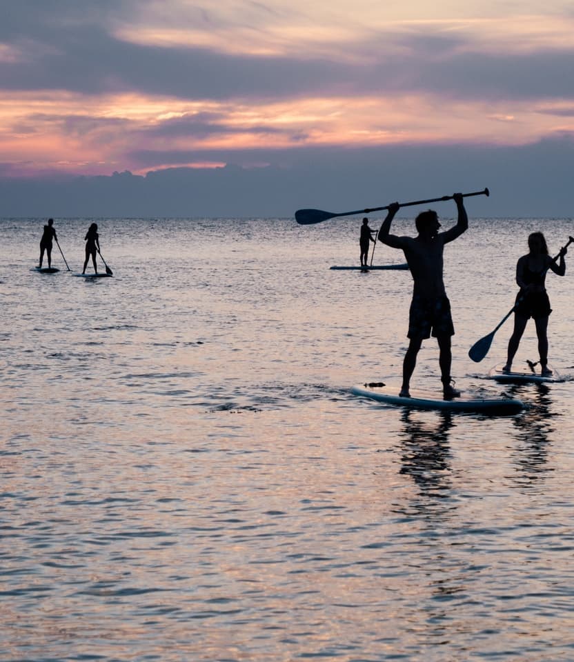 Stand up paddle