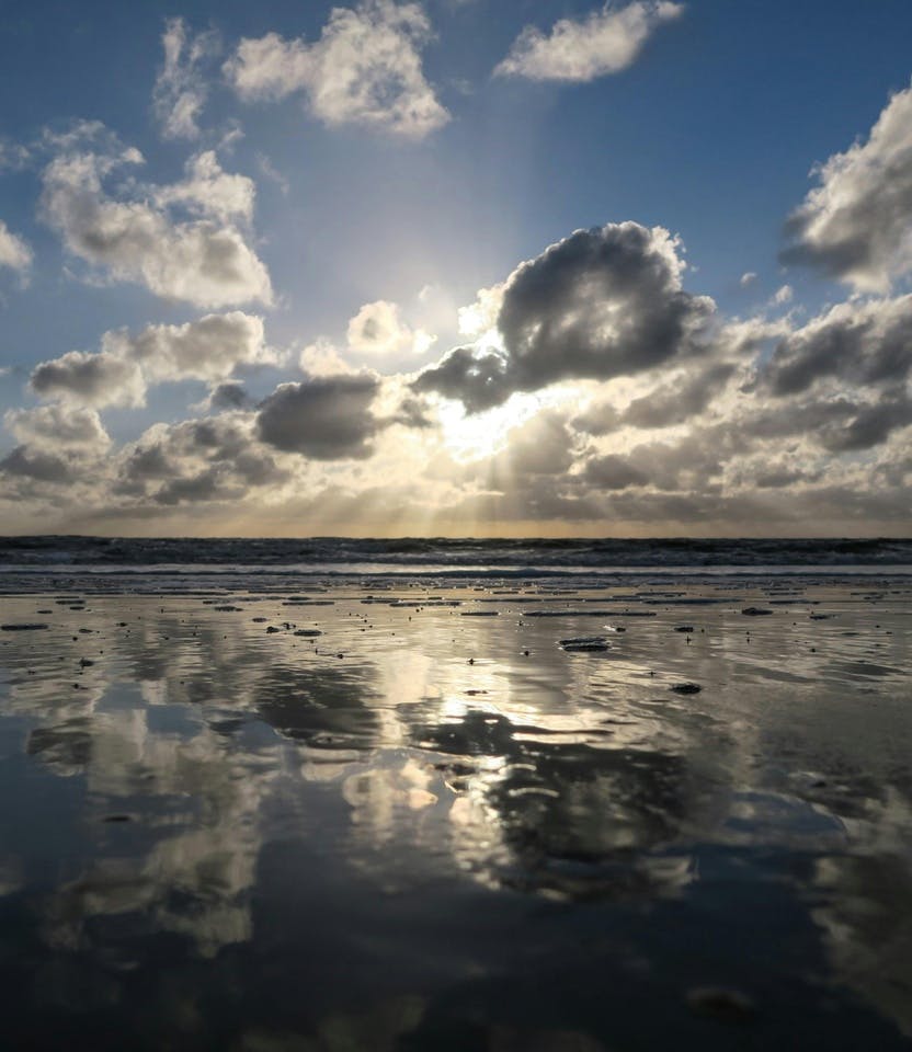 Mudflat hike