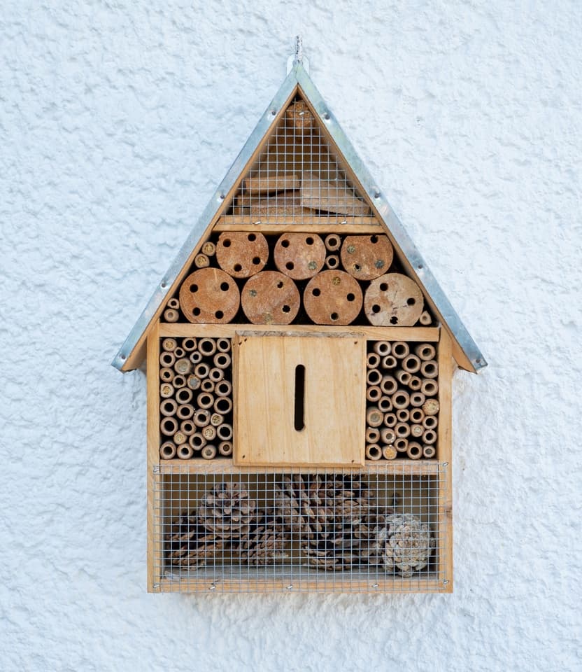 Insect hotel