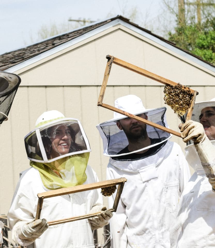 Self beekeeping