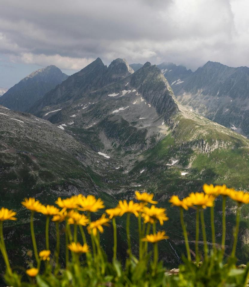 Geführte Kräuterwanderung