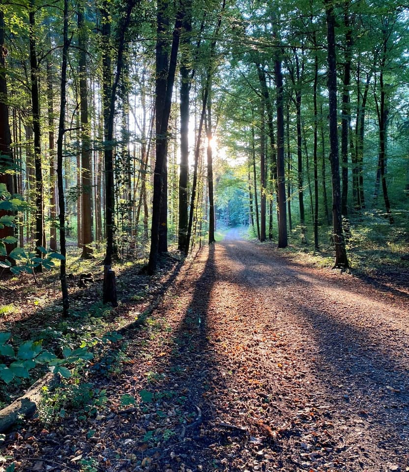 Guided nature trail