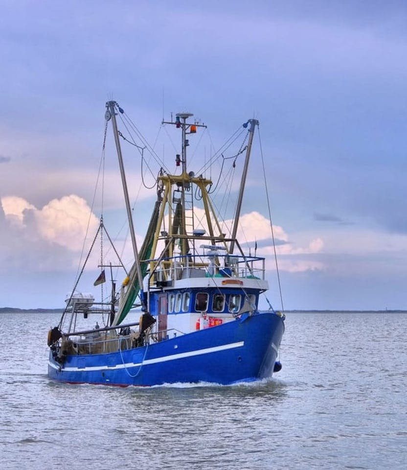 Kutterfahrt Nordsee