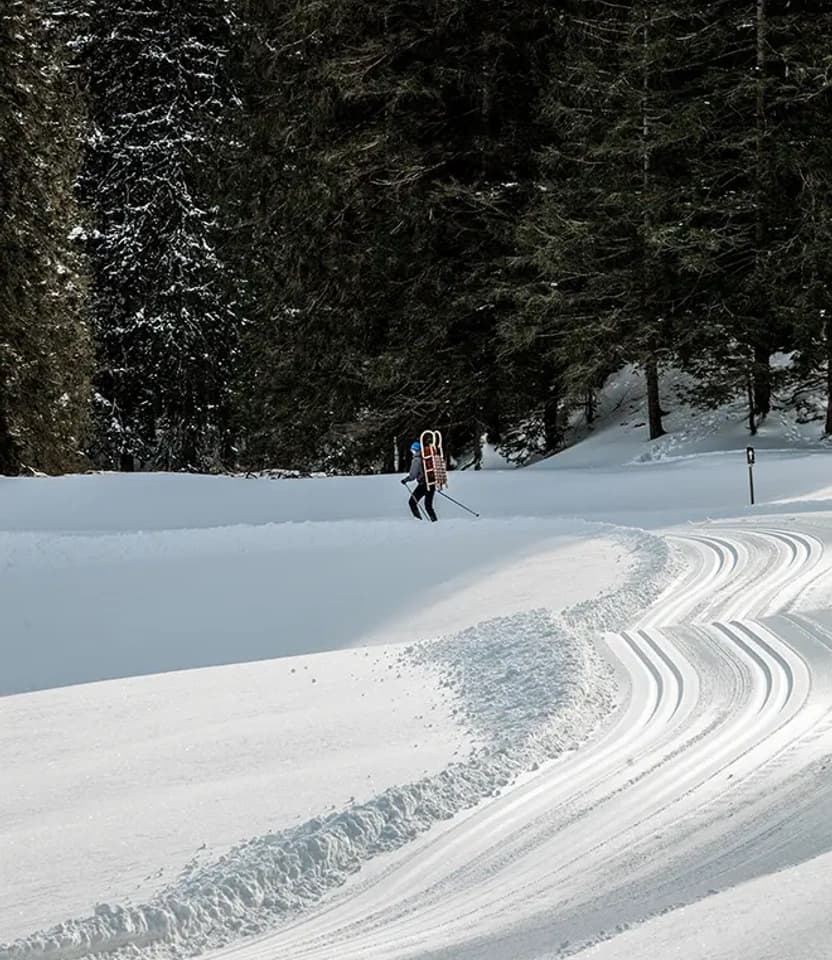 Skiing and sledge riding