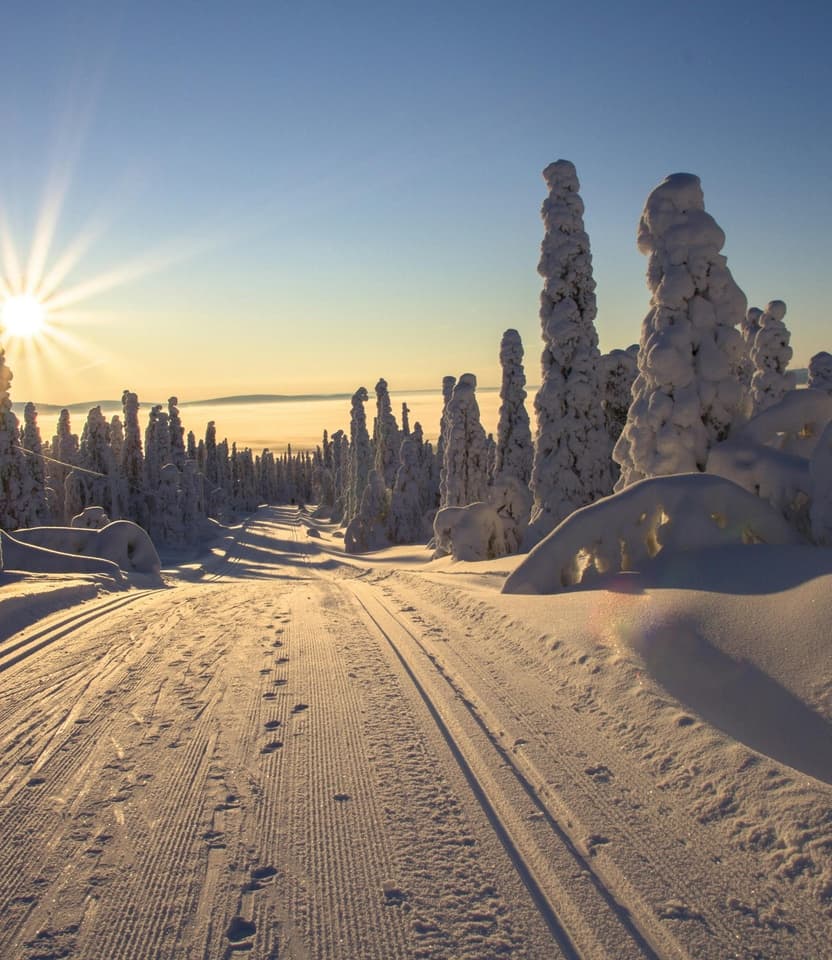 Skiing and cross-country skiing