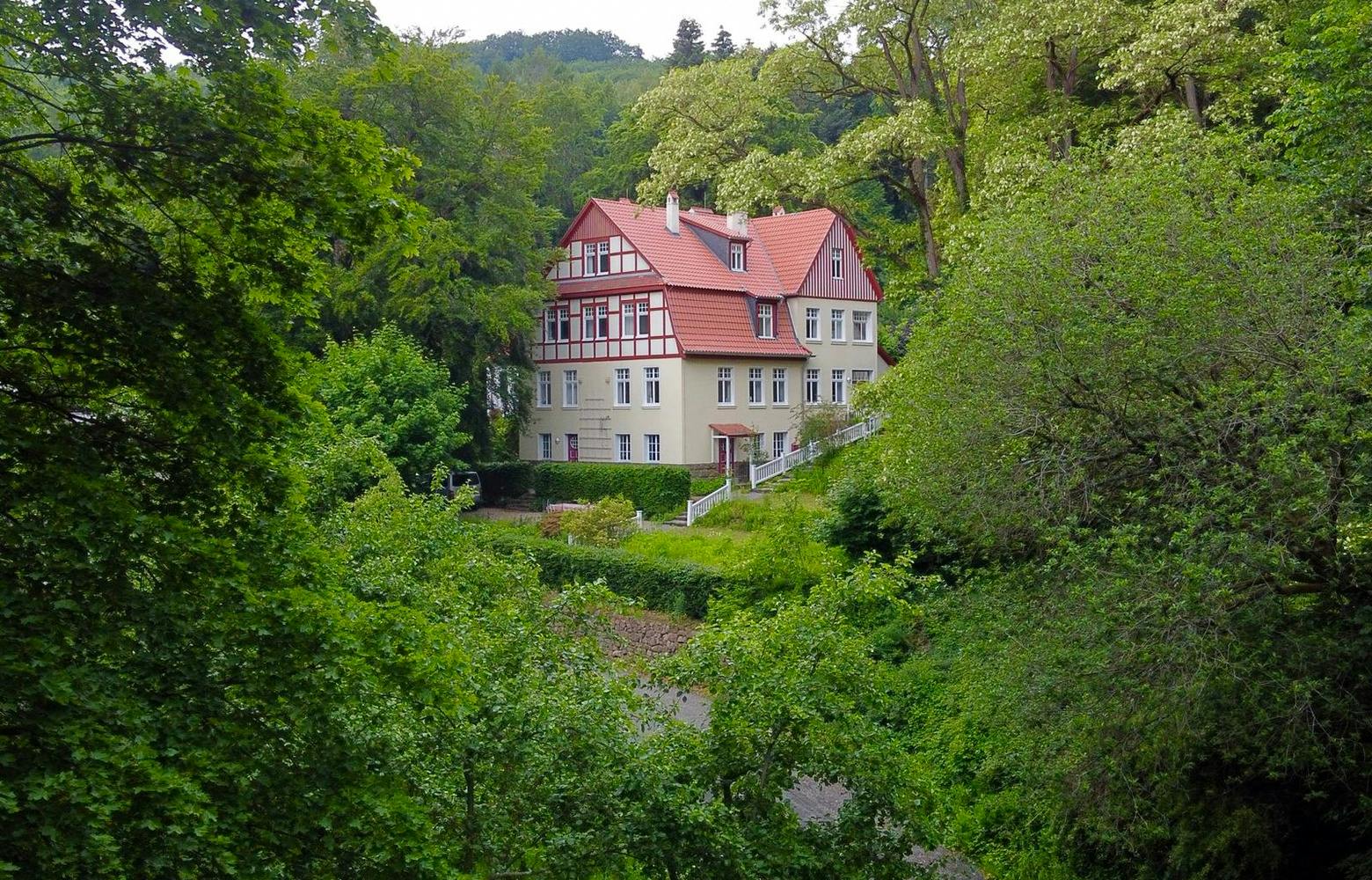 Inspirierende Wohlfühl-Villa mitten im Wald 