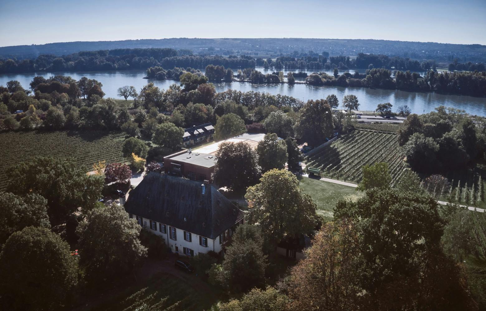 Idyllic winery in the Rheingau area