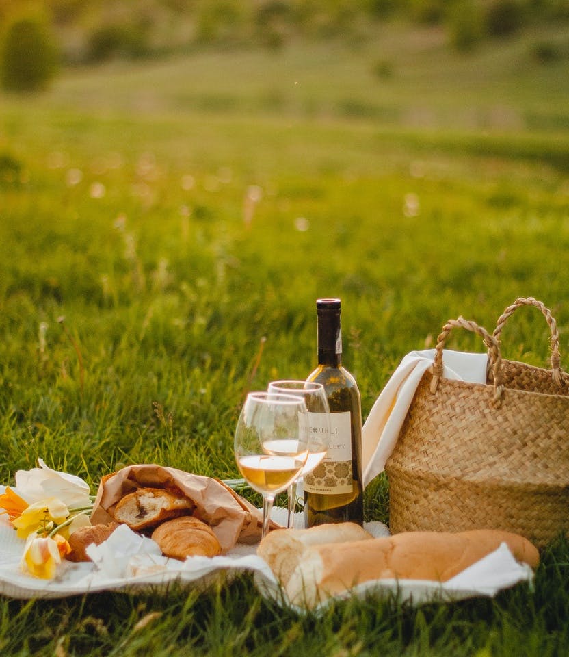 Picnic wine tasting in the winery park